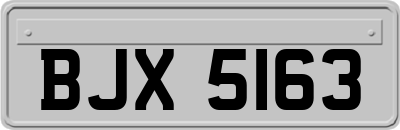 BJX5163
