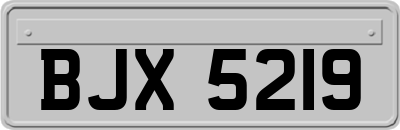 BJX5219