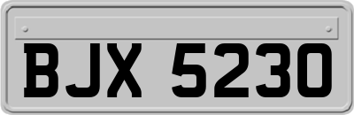 BJX5230