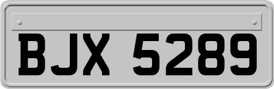 BJX5289