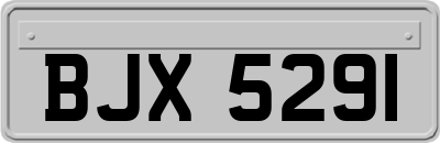 BJX5291