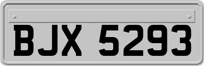 BJX5293
