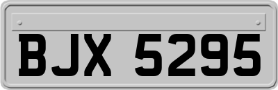 BJX5295