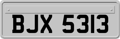 BJX5313