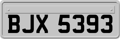 BJX5393