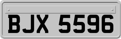 BJX5596