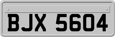 BJX5604