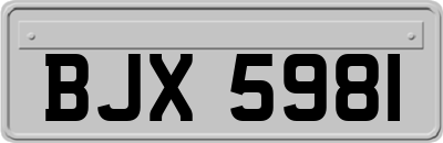 BJX5981