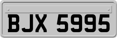 BJX5995