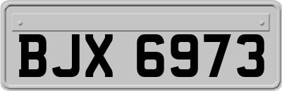 BJX6973