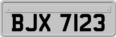 BJX7123