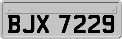 BJX7229