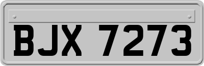 BJX7273