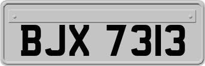 BJX7313