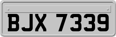 BJX7339
