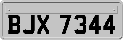 BJX7344