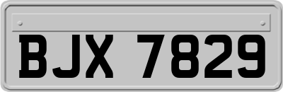 BJX7829
