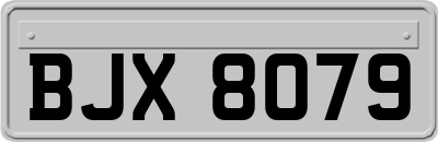 BJX8079