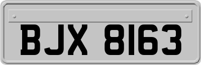 BJX8163