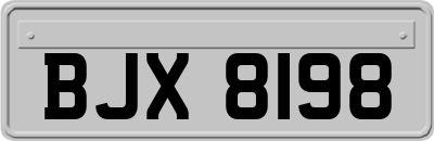 BJX8198