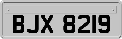 BJX8219