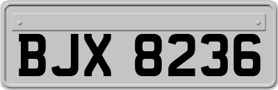 BJX8236