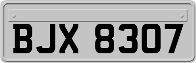 BJX8307