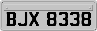 BJX8338