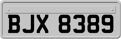 BJX8389