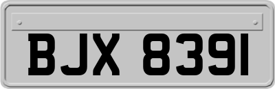 BJX8391