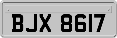 BJX8617