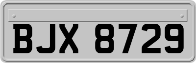 BJX8729