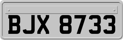 BJX8733