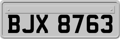 BJX8763