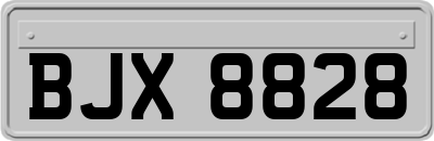BJX8828