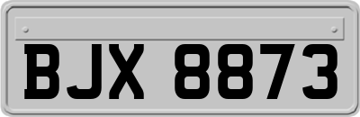 BJX8873