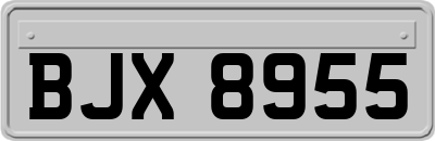BJX8955