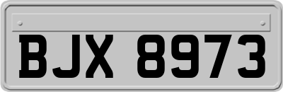 BJX8973