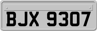 BJX9307