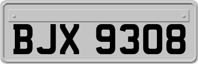 BJX9308