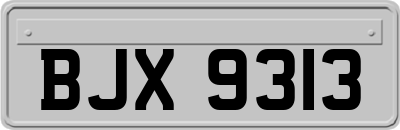 BJX9313