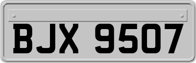 BJX9507