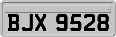 BJX9528