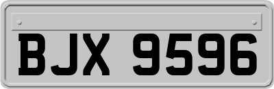 BJX9596