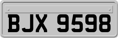BJX9598
