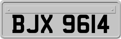 BJX9614