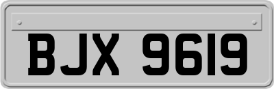 BJX9619
