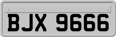BJX9666