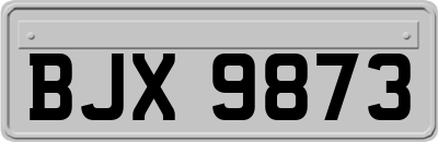 BJX9873