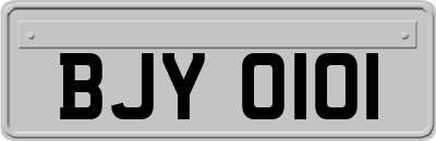 BJY0101